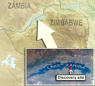 Discovery site is located in Zimbabwe