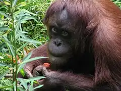 Woodland Park Zoo Are you hungry, too?