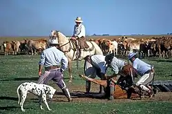 Gauchos in Corrientes province, Argentina.