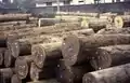 Storage of wood in the port, Kribi 1997